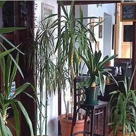 Πανσιόν Villa-colonial Eforie Nord